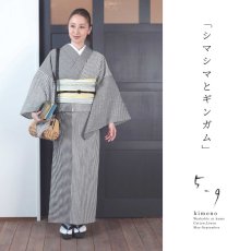 画像1: 59kimono2023「シマシマとギンガム」 (1)